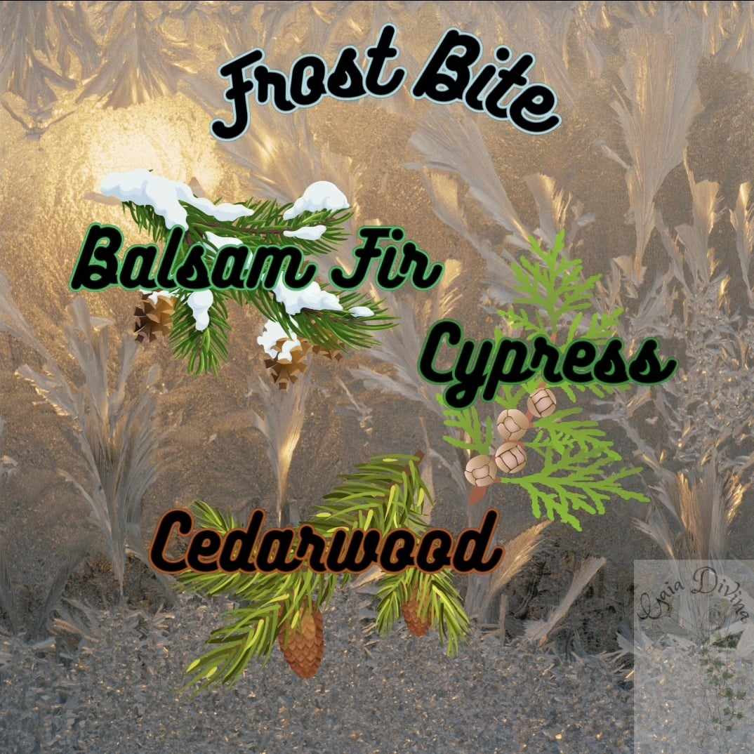 Winter Season - Frost Bite - Silk & Sugar