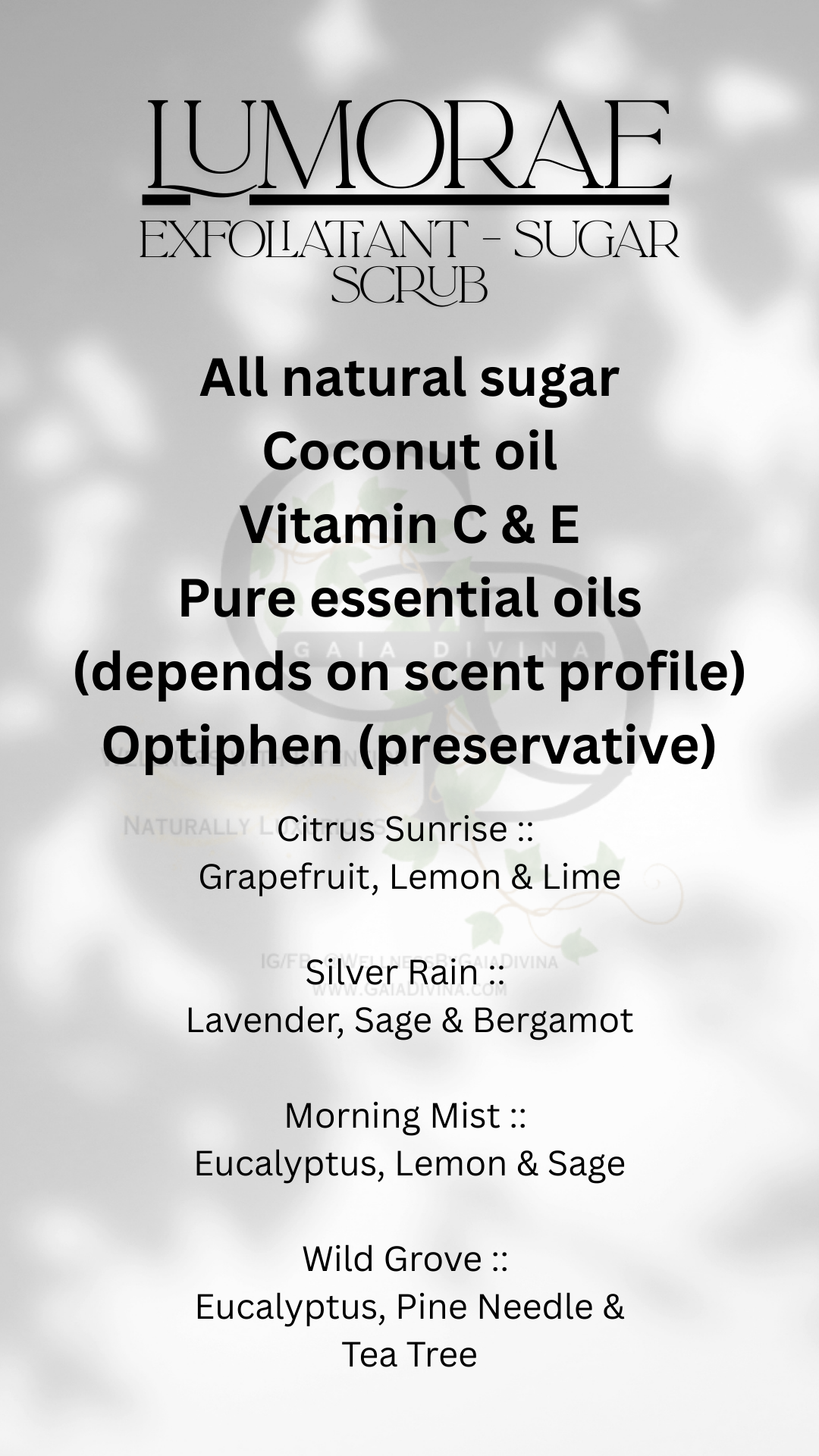 Lumorae :: Sugar Scrub :: Silver Rain