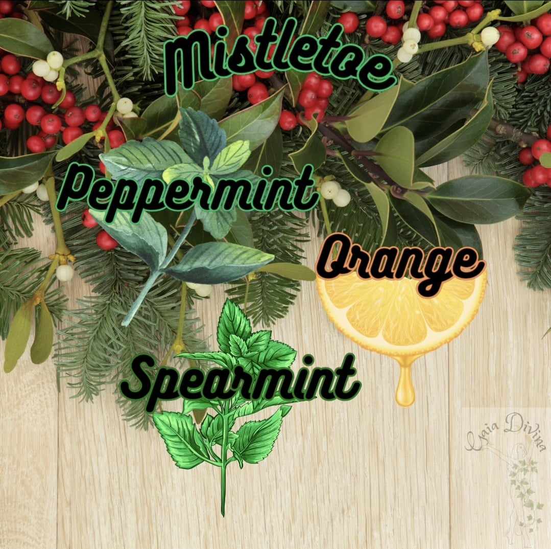 Winter Season - Mistletoe - Silk & Sugar