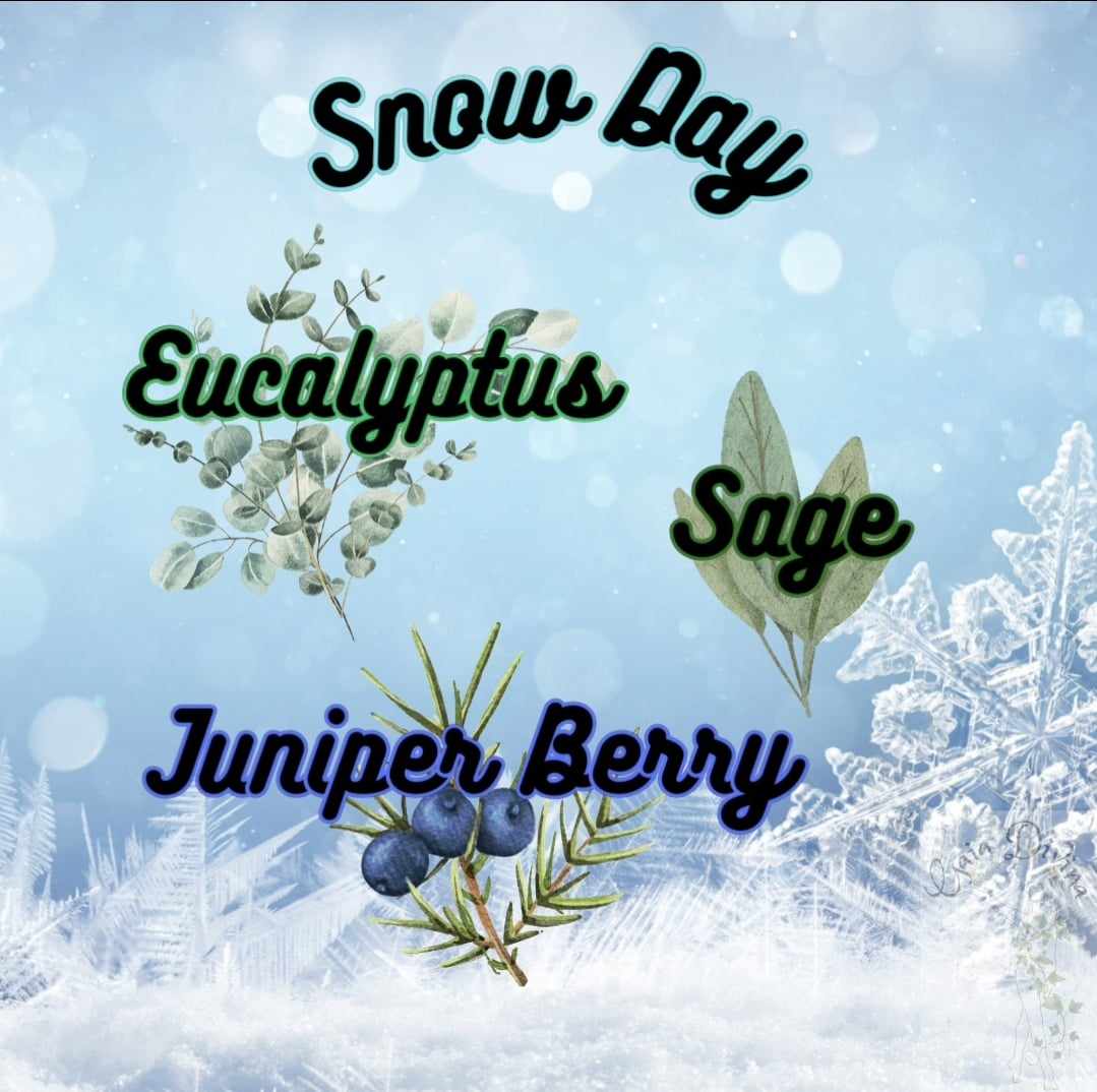 Winter Season - Snow Day - Silk & Sugar