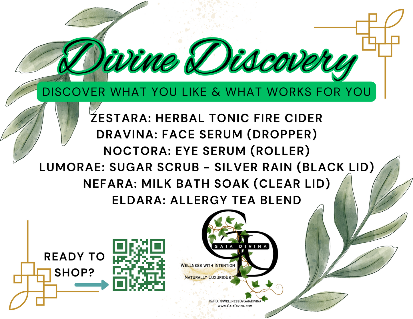Divine Discovery Kit