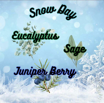 Winter Season - Snow Day - Silk & Sugar